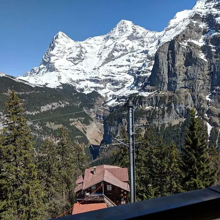 Alpenblick 2*