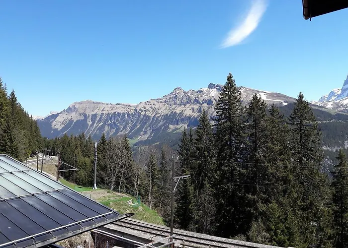 Alpenblick Guest house 2*