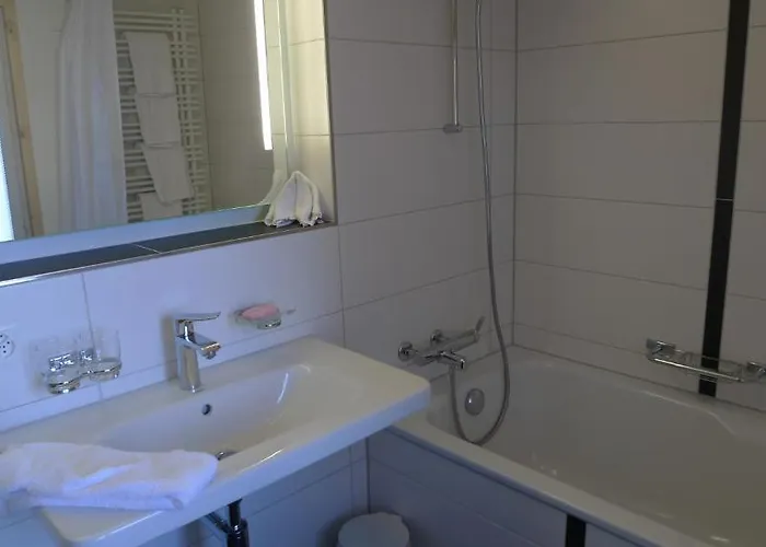 Alpenblick Guest house 2*