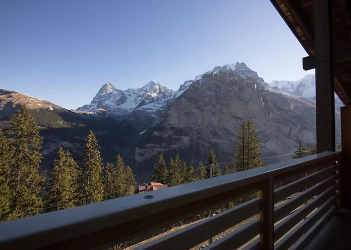 Alpenblick Guest house 2*