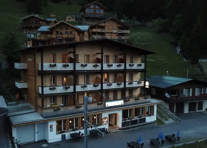 Alpenblick Guest house 2*