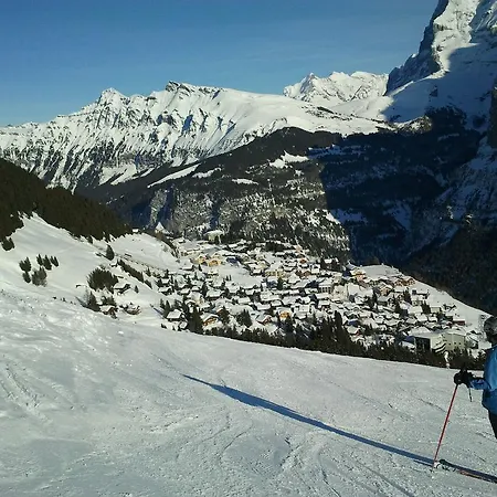 Alpenblick 2*
