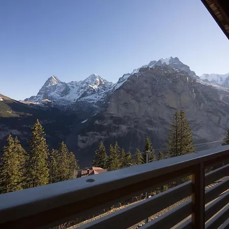 Alpenblick Гостевой дом 2*